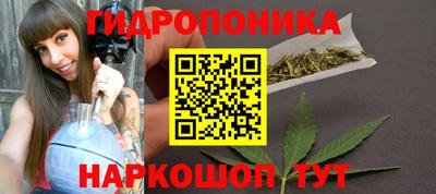 стаф Кимры