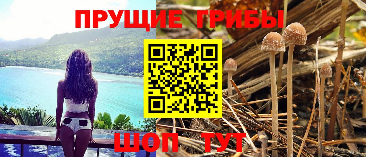 Кушва  Галлюциногенные грибы прущие грибы  продажа наркотиков  Вход с VPN  Псилоцибиновые грибы GOLDEN TEACHER 
